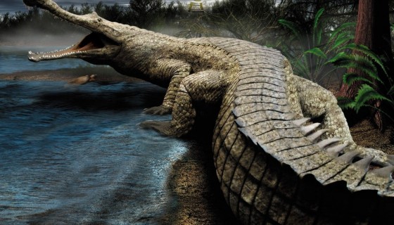 super crocodile 3d wallpaper